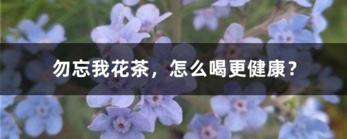 勿忘我花茶，怎么喝更健康？